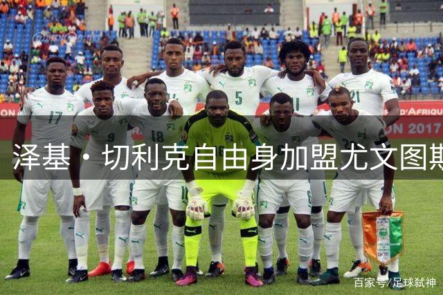 泽基·切利克自由身加盟尤文图斯，签约三年