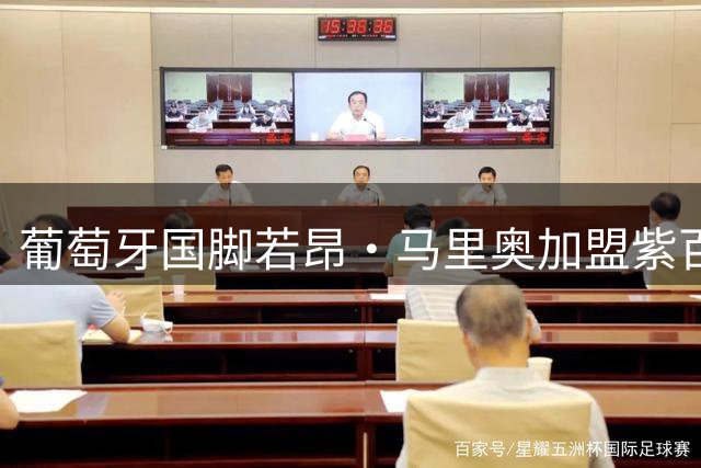 葡萄牙国脚若昂·马里奥加盟紫百合 租借费100万欧含买断条款